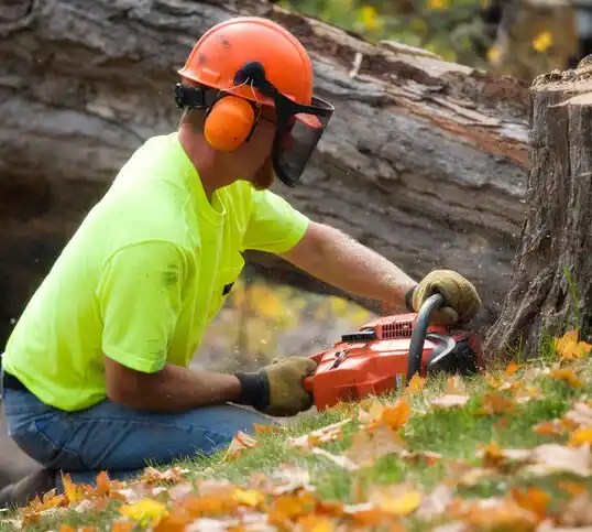 tree services Kaser